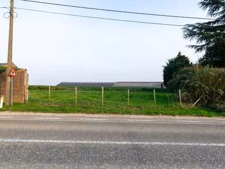 terrain à bâtir ob à groot overlaar  tirlemont