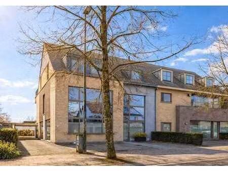 groot zonnig duplex dakappartement met drie terrassen  tw...