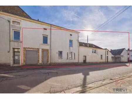 trevi luxembourg maison de commerce avec 4 ch et garage