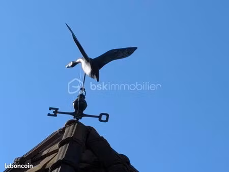 maison 7 pièces 400 m²