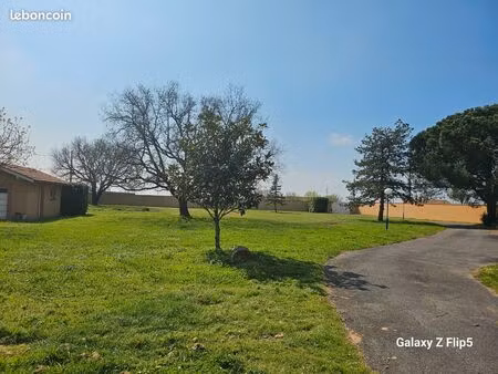 terrain constructible