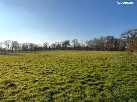 terrain de loisirs 2 hectares