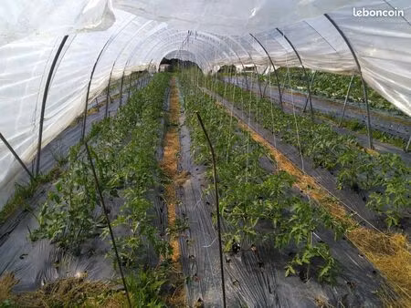 ferme maraîchère/jardin forêt