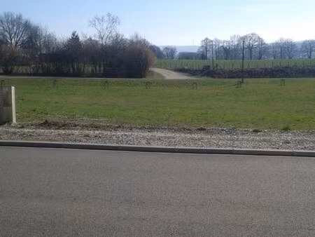 terrain constructible