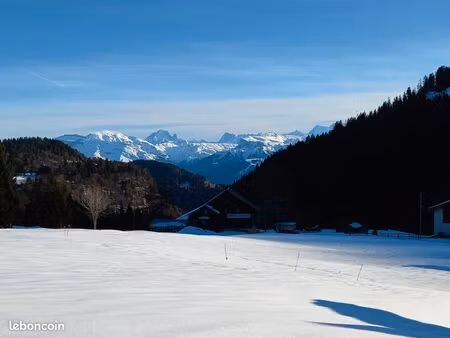 terrain à vendre taninges/praz de lys