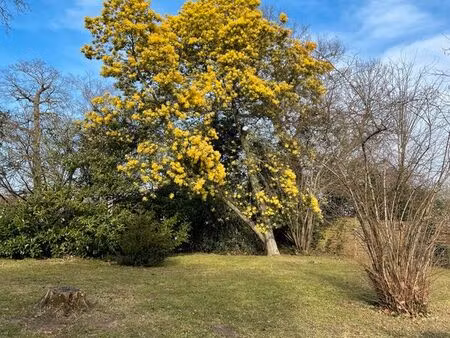 terrain 1114m² gradignan