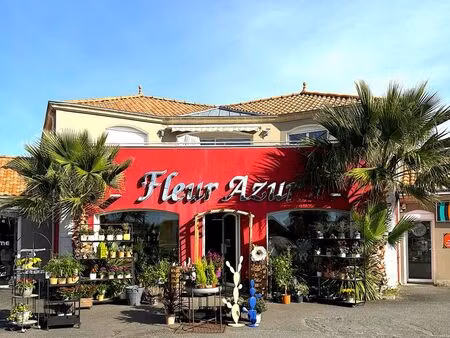 rare : murs + fond fleuriste- cadeaux - déco