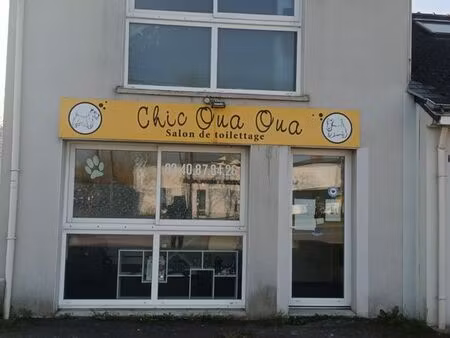 vends local commercial les murs