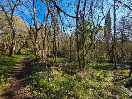 terrain 7010 m² angles sur l anglin