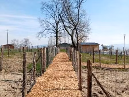 loue terrain potager