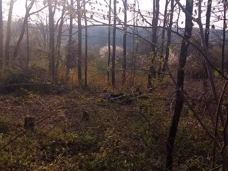 terrain en zone constructible