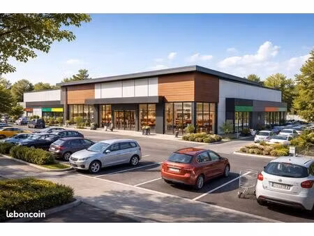 local commercial 712 m² martillac