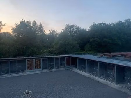 maison avec bâtiments chenil chatterie