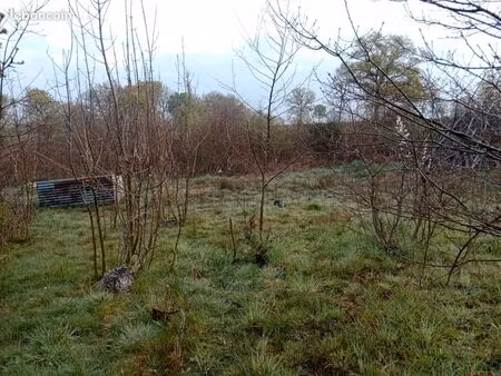 terrain un hectare avec source