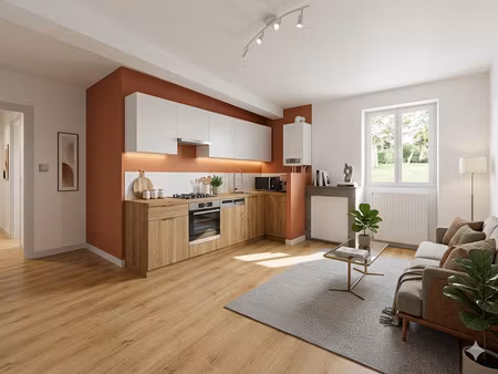 loriol quartier historique- appartement 3 pieces de 45 m2