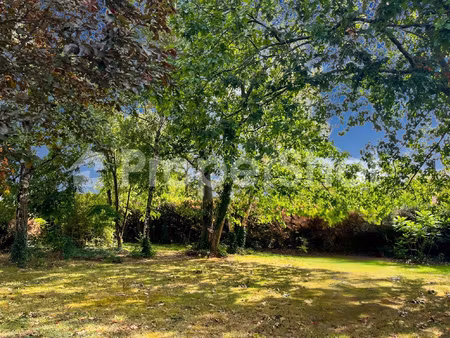 basse goulaine - terrain sud 610 m2