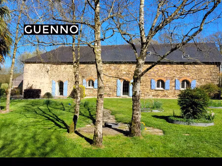 maison guignen 9 pièce(s) 196 m2