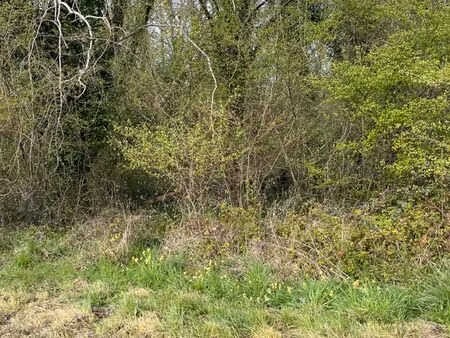 terrain taillis magnac sur touvre