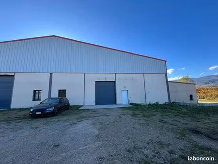 local professionnel 350m²