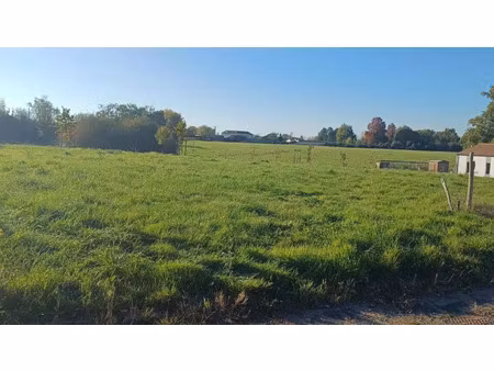 vente terrain à la réorthe (85210) : à vendre / la réorthe