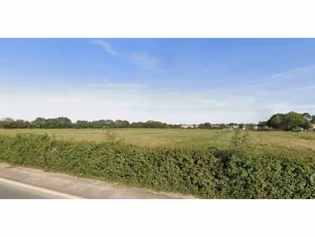 vente terrain au bernard (85560) : à vendre / le bernard