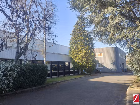 immobilier professionnel à louer pringy