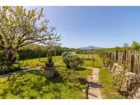 exclusivite - ainhoa  maison de ville avec jardin