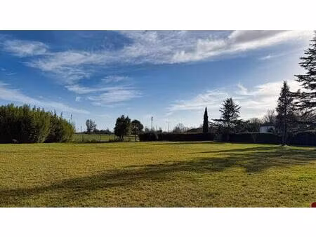 terrain constructible