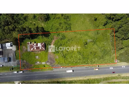 terrain à gourbeyre rn1 de 8000 m²