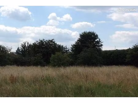 terrain 646 m² brillon