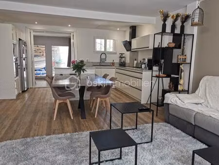 maison de 345 m² à saint-esteve