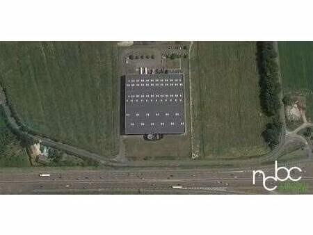 ncbc l'immobilier d'entreprise