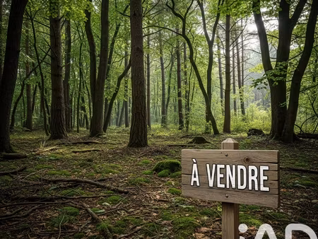 vente terrain 13 940 m²