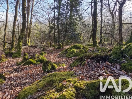 vente terrain 10 800 m²