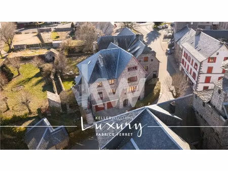 maison ancienne à vendre  10 pièces - besse-et-saint-anastaise 63610