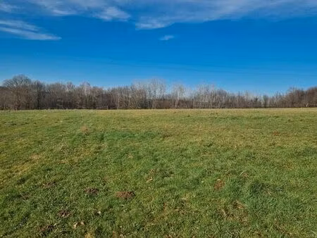 terrain constructible 3016m²