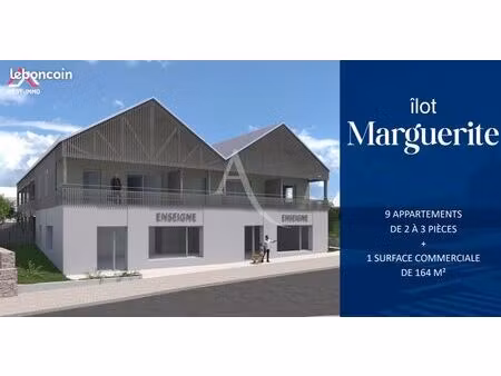 appartement 2 pièces 50 m²