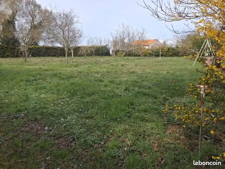 terrain constructible 1487 m2