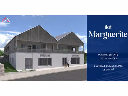 vente appartement 2 pièces  49.60m²  puceul