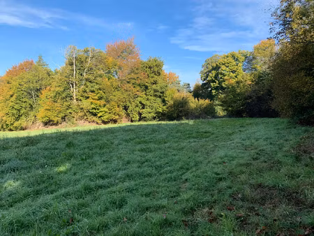 vente divers naves (19460)