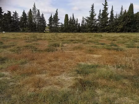 vente terrain 1339 m² saint-paul-trois-châteaux (26130)