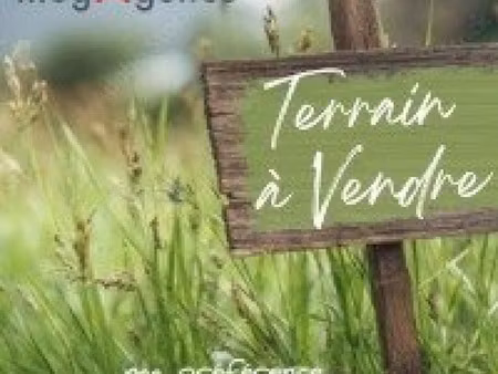 vente terrain à saint-simon-de-bordes (17500) : à vendre / 625m² saint-simon-de-bordes