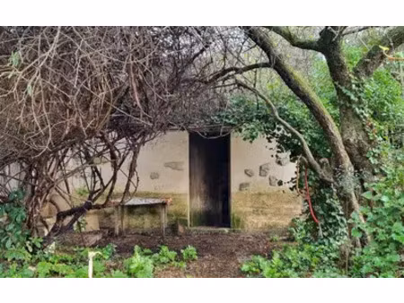 saint-vincent-de-barbeyrargues (34730)