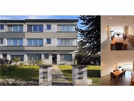 appartement à louer à konijnenberg 45 ekeren (rbv59813)