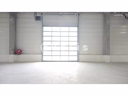 location local d'activités 569 m² à 9 008 m²
