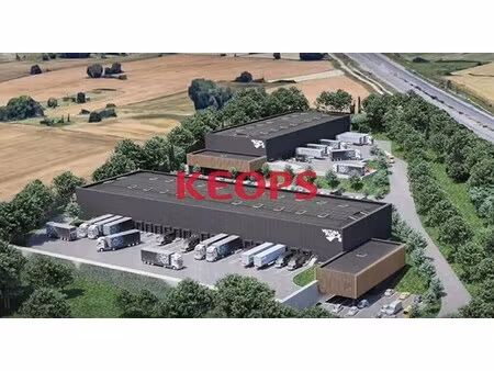 location local d'activités 2 400 m² à 5 800 m²