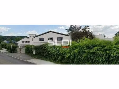 location local d’activités brignais 69530 385m² à 835m²