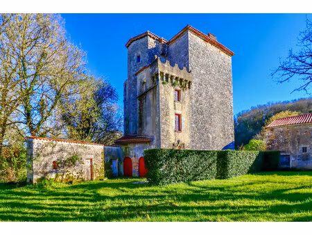 chateau à vendre à moulins-sur-tardoire (16220) - charente