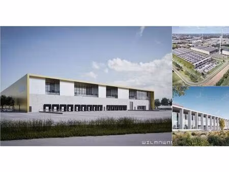 surface industrielle à louer à liessel 0 geel (rbv59833)