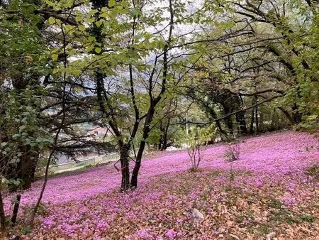 veurey voroize exclusivite terrain constructible de 2094m²